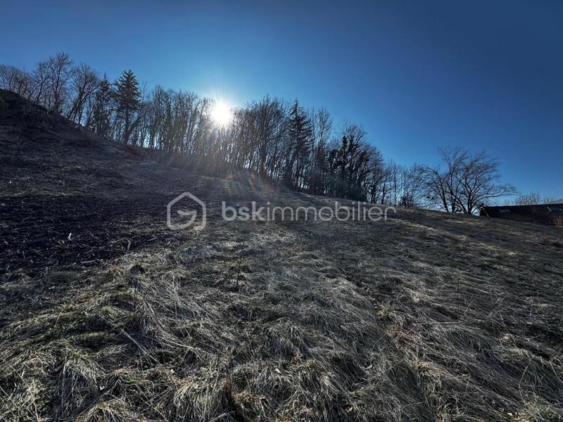 Terrain constructible - 2 444 m²