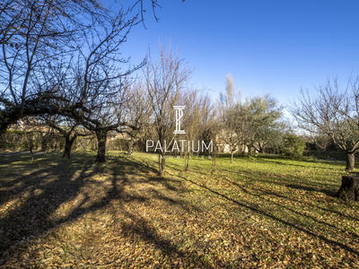 Terrain - 950 m²