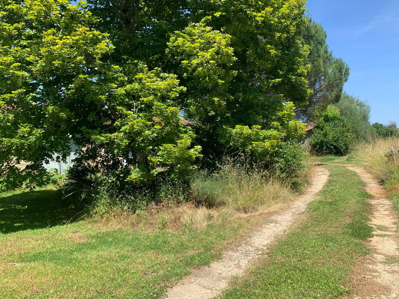 Maison - 272 m² - 6 pièces