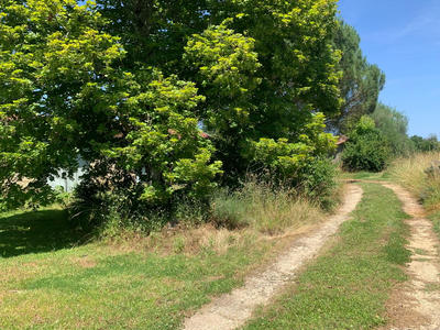 Maison - 272 m² - 6 pièces