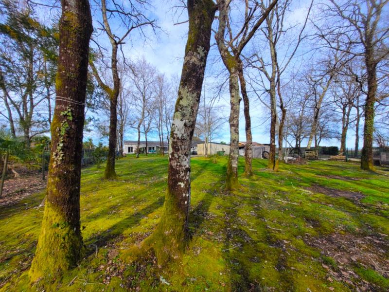 Maison - 108 m² - 4 pièces