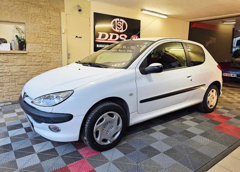 Peugeot 206 Boite Auto Ct Ok Distri Vidange Neuf