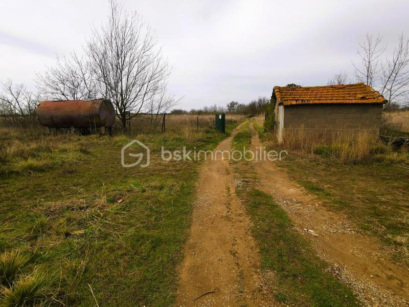 Terrain de loisirs - 7 366 m²