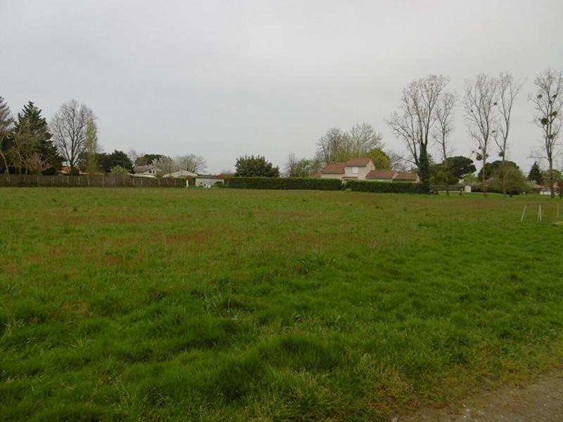 Terrain constructible - 1 415 m²