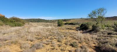 Terrain agricole - 4 870 m²