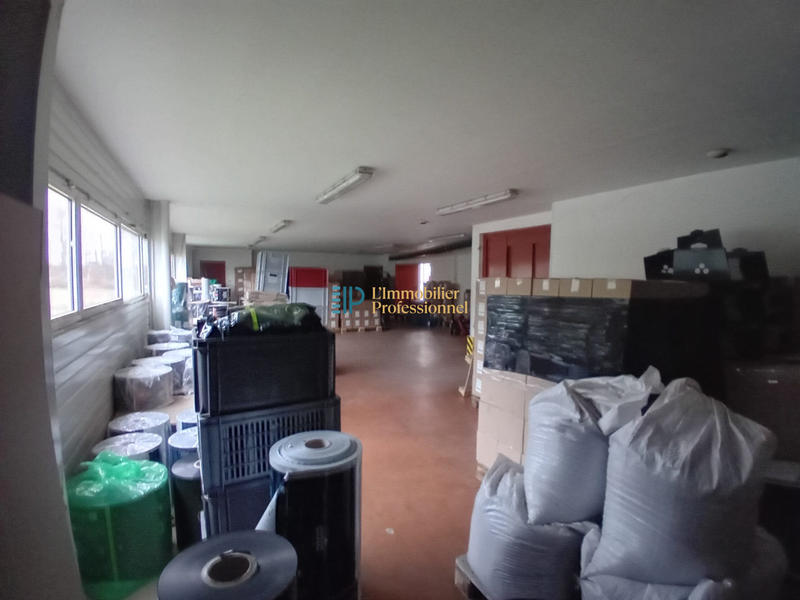 Local d'activités - 1 284 m²