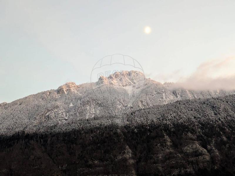 Appartement - 11 m² - 1 pièce