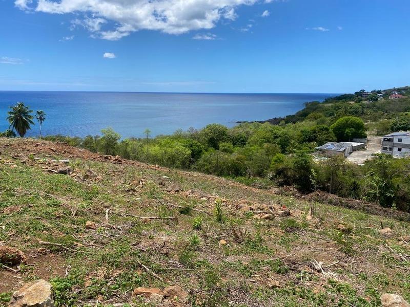 Terrain constructible - 1 039 m²