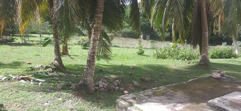 Maison - 184 m² - 7 pièces