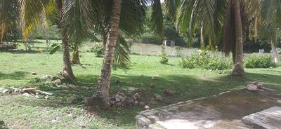 Maison - 184 m² - 7 pièces