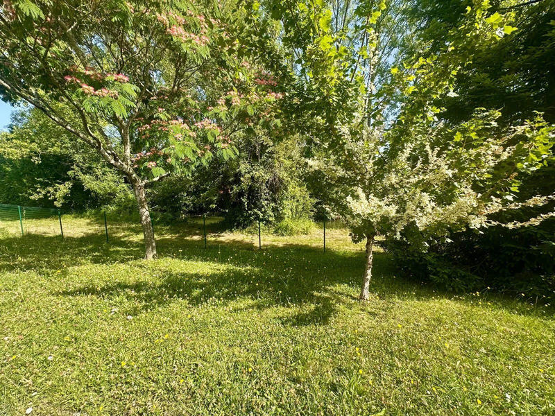 Viager - Appartement - 86 m² - 3 pièces