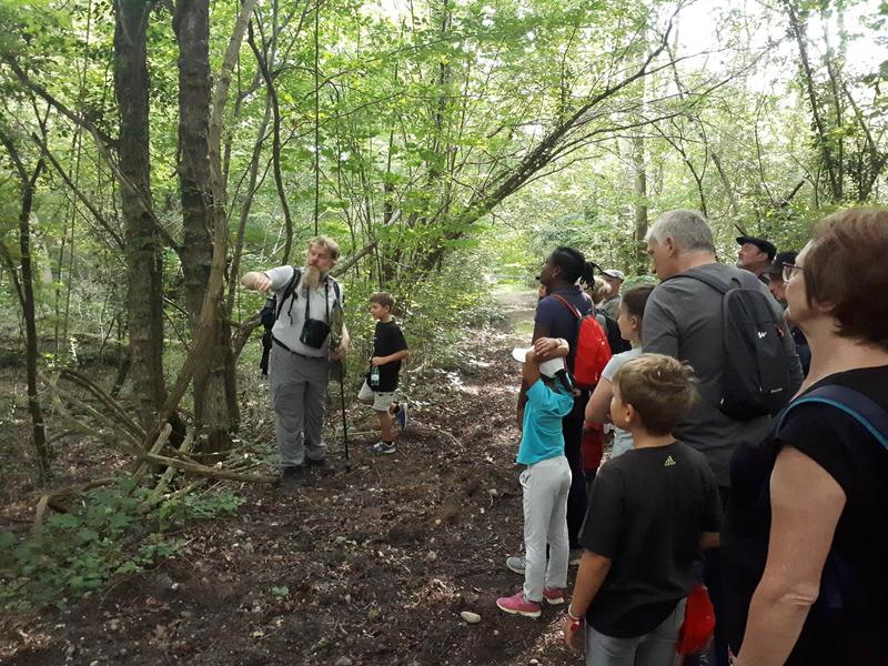 Initiation botanique à la Réserve naturelle d'Erstein