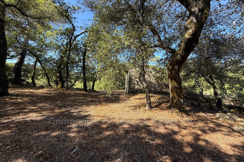 Maison - 260 m² - 9 pièces