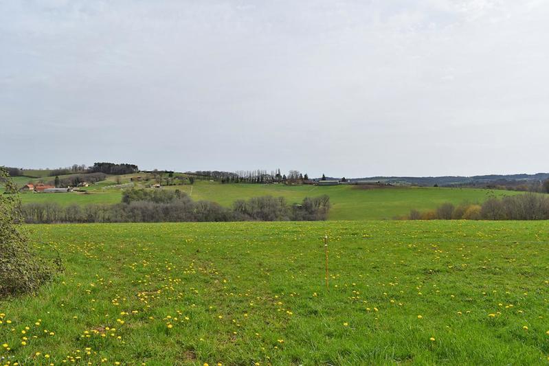 Maison - 231 m² - 9 pièces