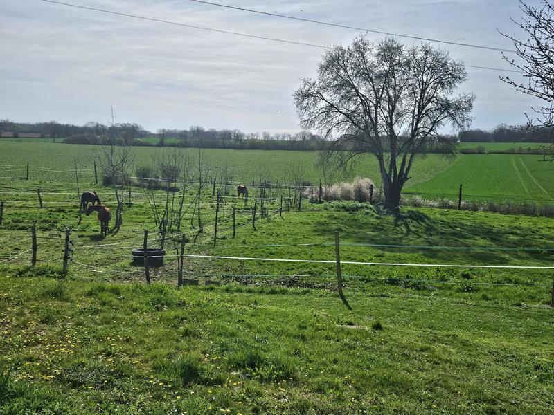 Maison - 146 m² - 4 pièces