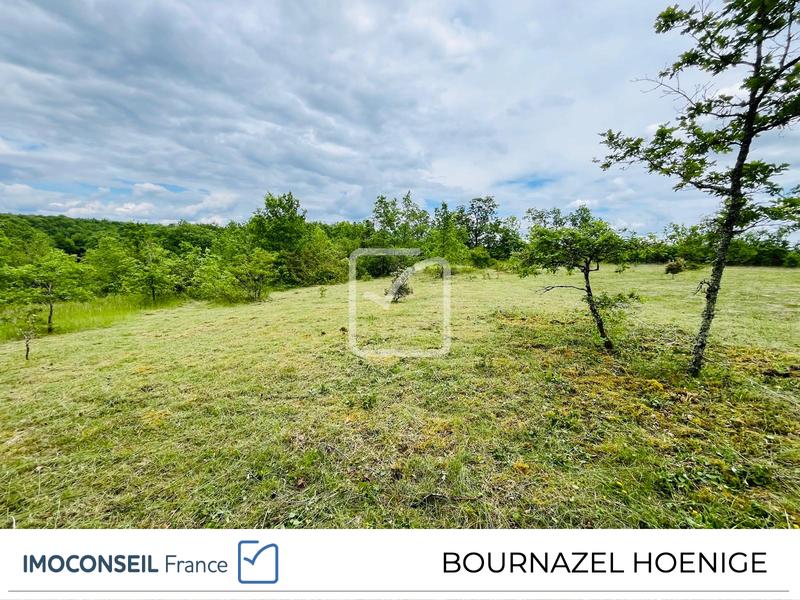 Terrain - 3 123 m²