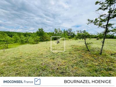 Terrain - 3 123 m²
