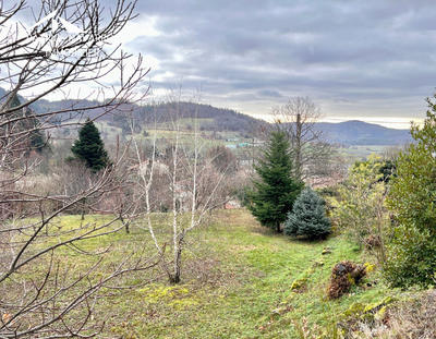 Terrain constructible - 2 279 m²