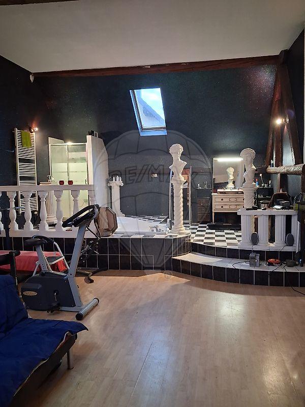 Maison - 250 m² - 5 pièces