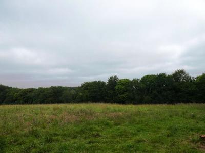 Terrain agricole - 28 430 m²