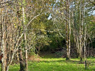 Terrain - 26 565 m²