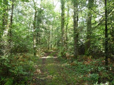 Terrain - 41 380 m²