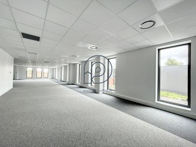 Bureau - 252 m²