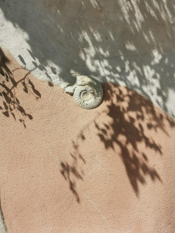 Maison ancienne - 120 m² - 4 pièces