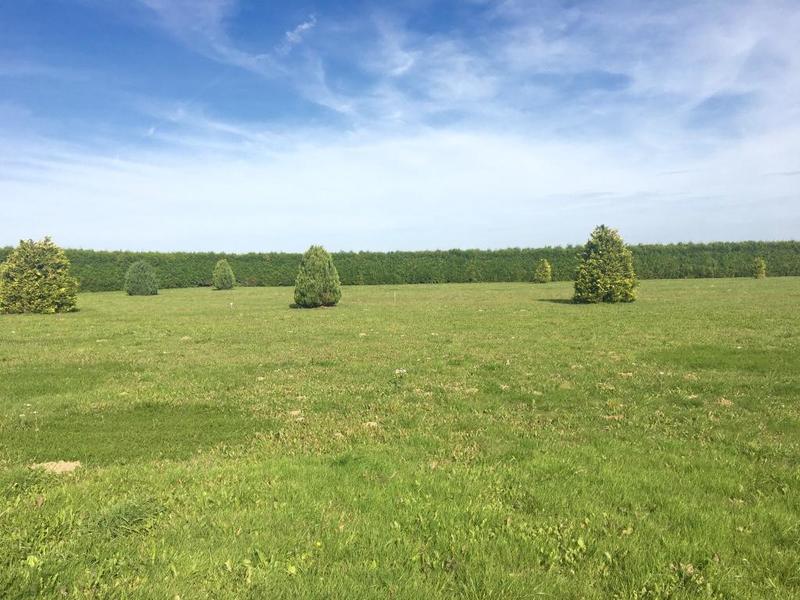 Terrain constructible - 800 m²