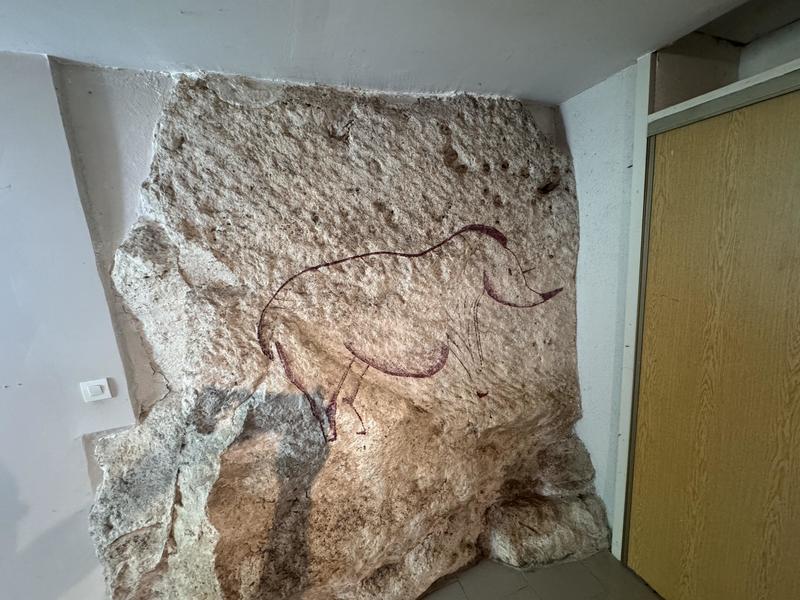 Maison jumelée - 90 m² - 5 pièces