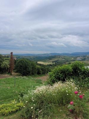 Maison en pierre - 45 m² - 3 pièces