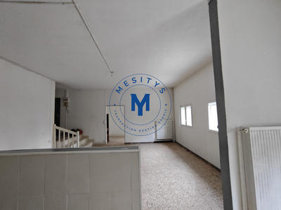 Appartement - 108 m² - 5 pièces