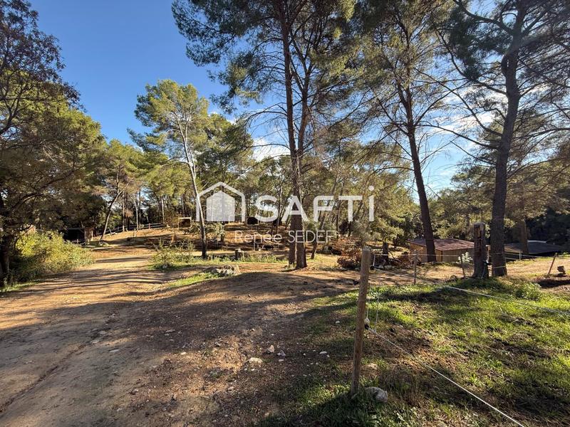 Local commercial - 120 000 m²