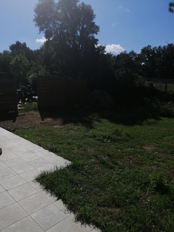 Appartement - 50 m² - 3 pièces