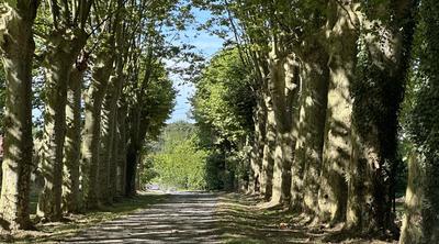 Maison bourgeoise - 350 m² - 8 pièces