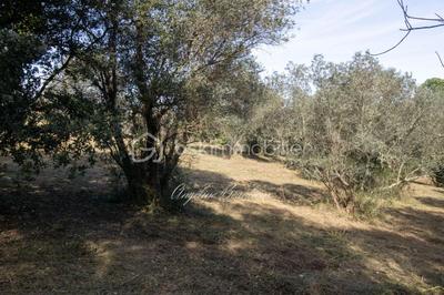 Terrain constructible - 2 094 m²