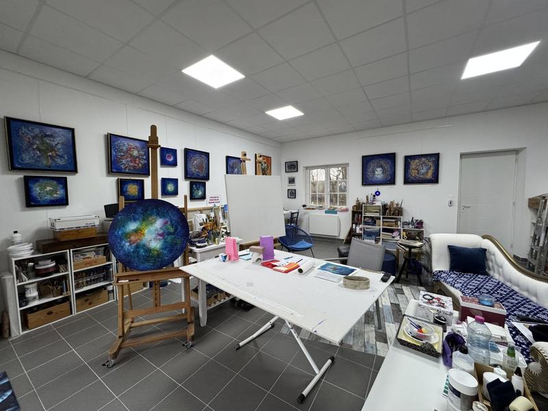 Maison - 291 m² - 8 pièces