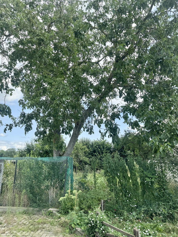 Maison - 65 m² - 3 pièces