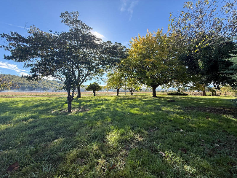 Maison - 250 m² - 5 pièces