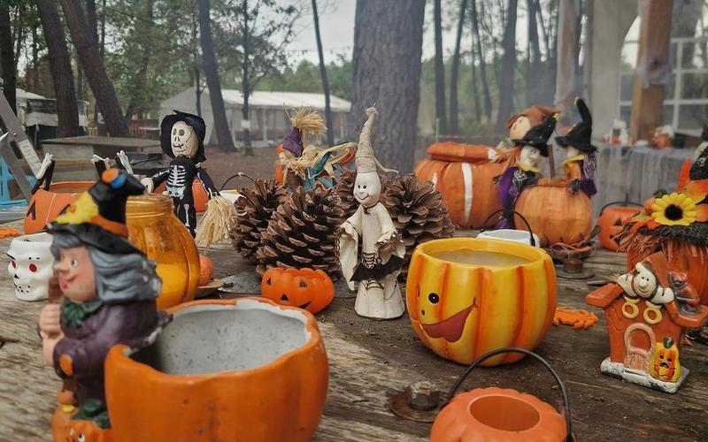 Halloween à l'Accrobranche - Étang de la Vallée