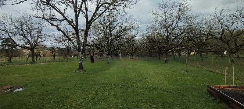 Maison - 75 m² - 5 pièces