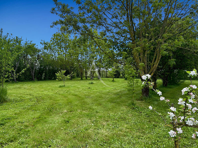 Maison - 242 m² - 5 pièces