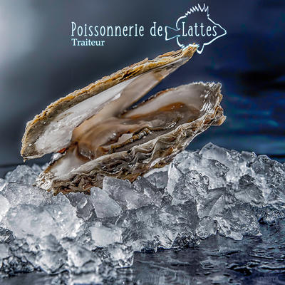 La Poissonnerie de Lattes