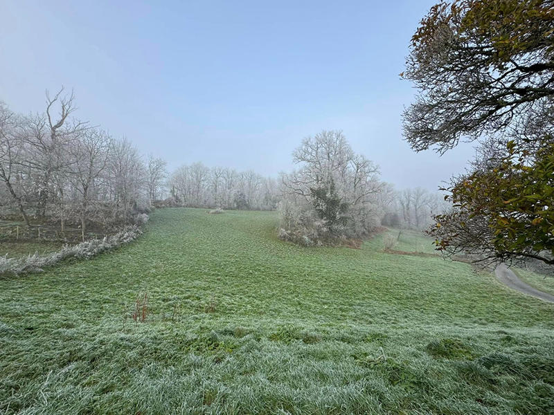 Maison - 50 m² - 1 pièce