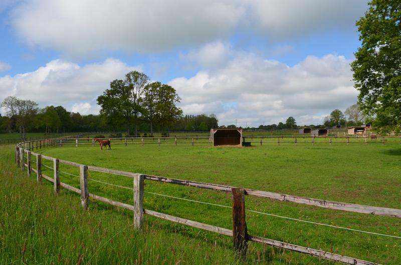 Maison - 169 m² - 6 pièces