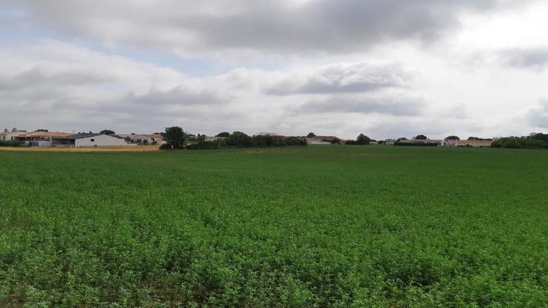 Terrain constructible - 315 m²