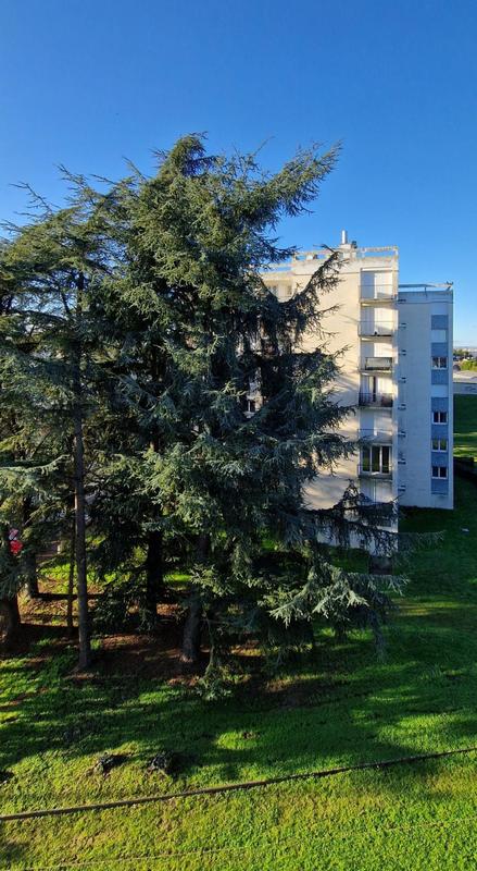 Appartement - 75 m² - 4 pièces