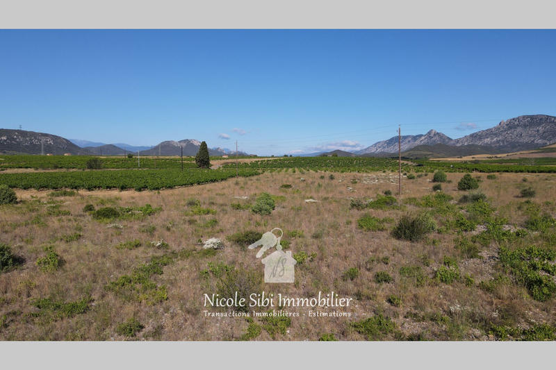 Terrain agricole - 7 960 m²