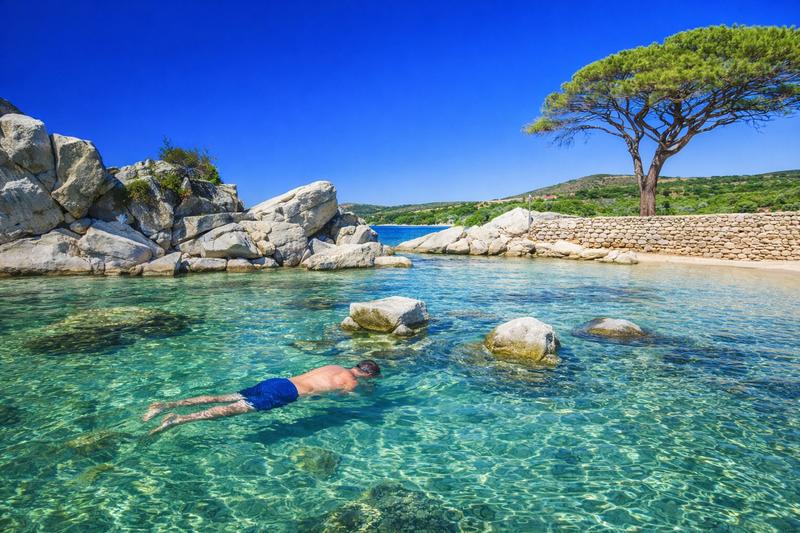 Appartement - 30 m² - 1 pièce