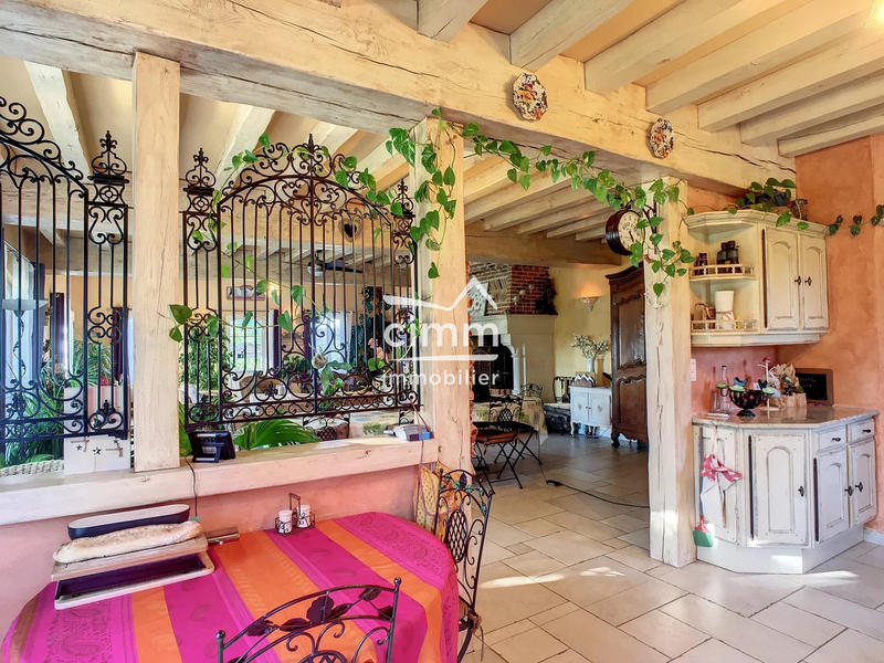 Maison - 365 m² - 15 pièces